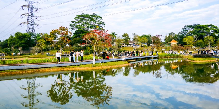 深圳市宝安区九围湿地公园-行万里路（20251207） -16