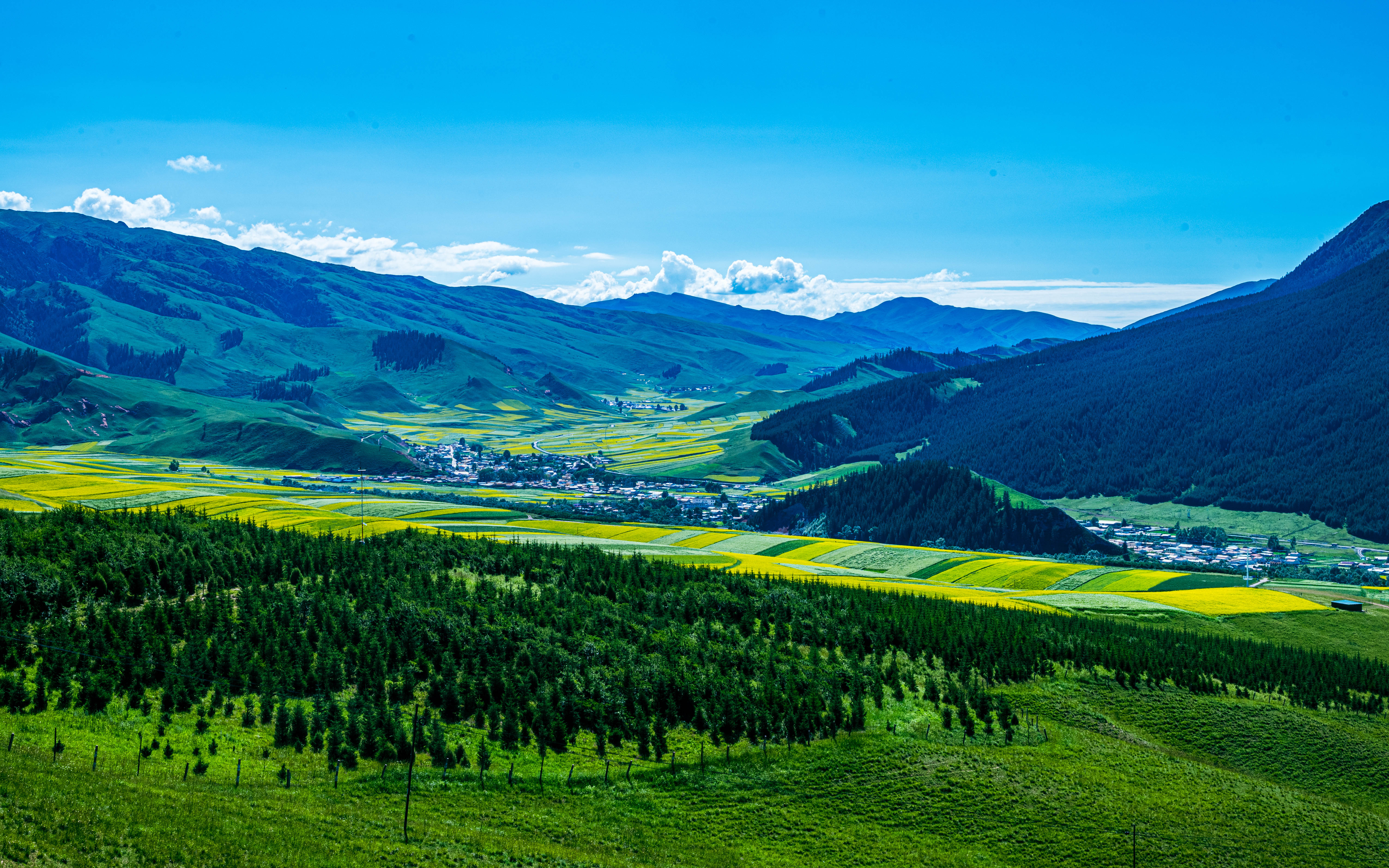 青海祁连县卓尔山-行万里路(20250728)-14
