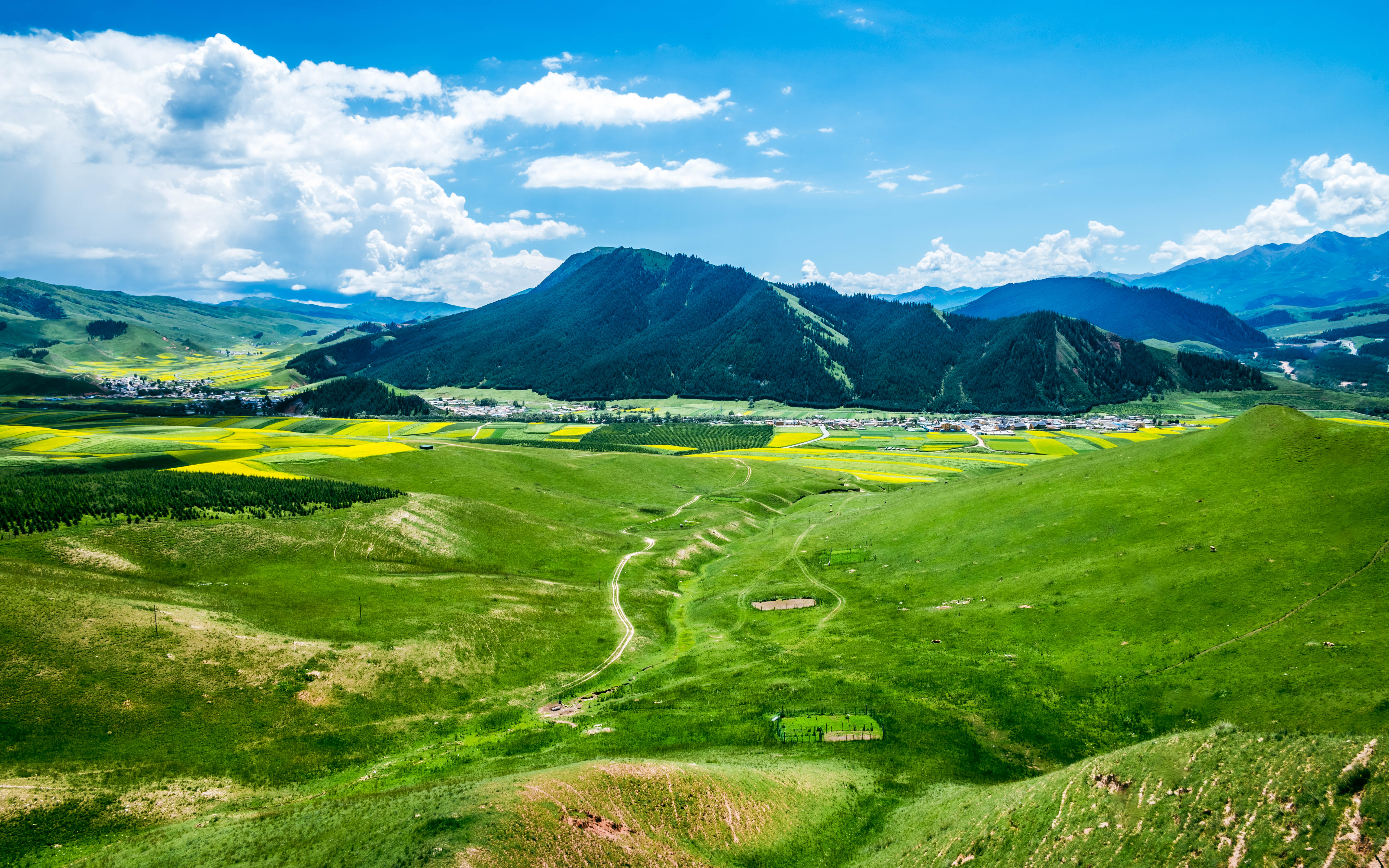 青海祁连县卓尔山-行万里路(20250728)-28