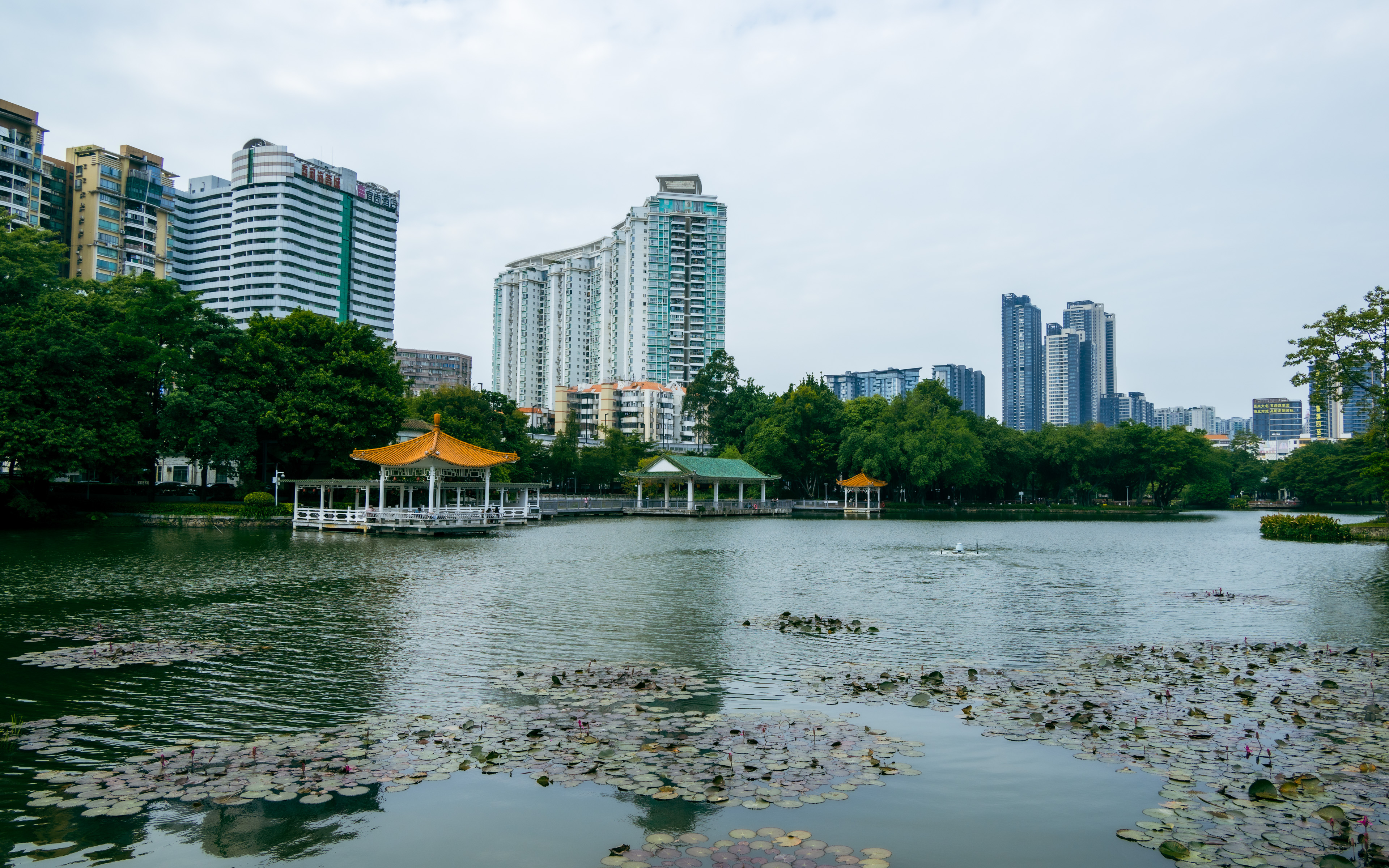 广州市荔湾湖公园-行万里路(20251101)-13