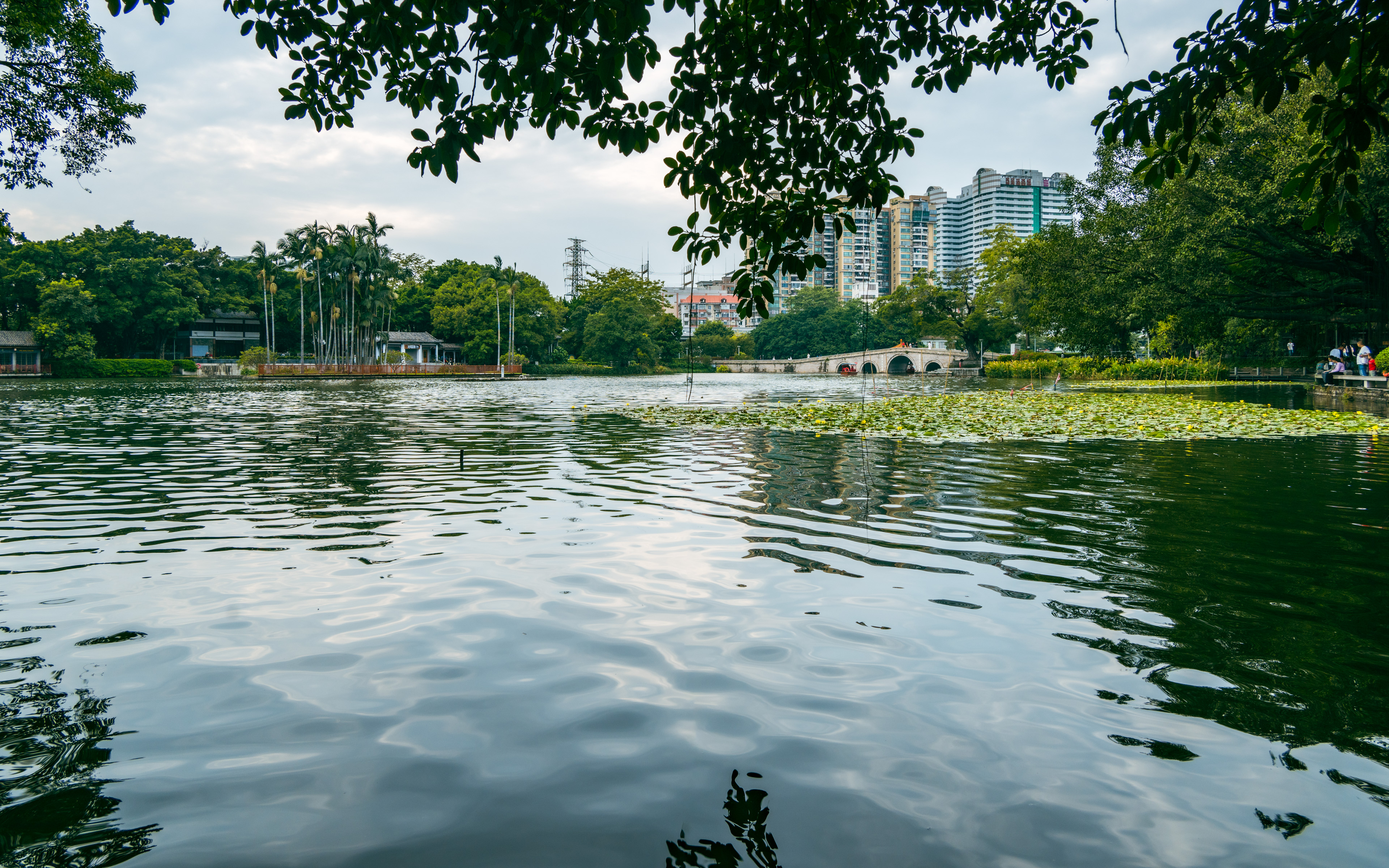 广州市荔湾湖公园-行万里路(20251101)-16
