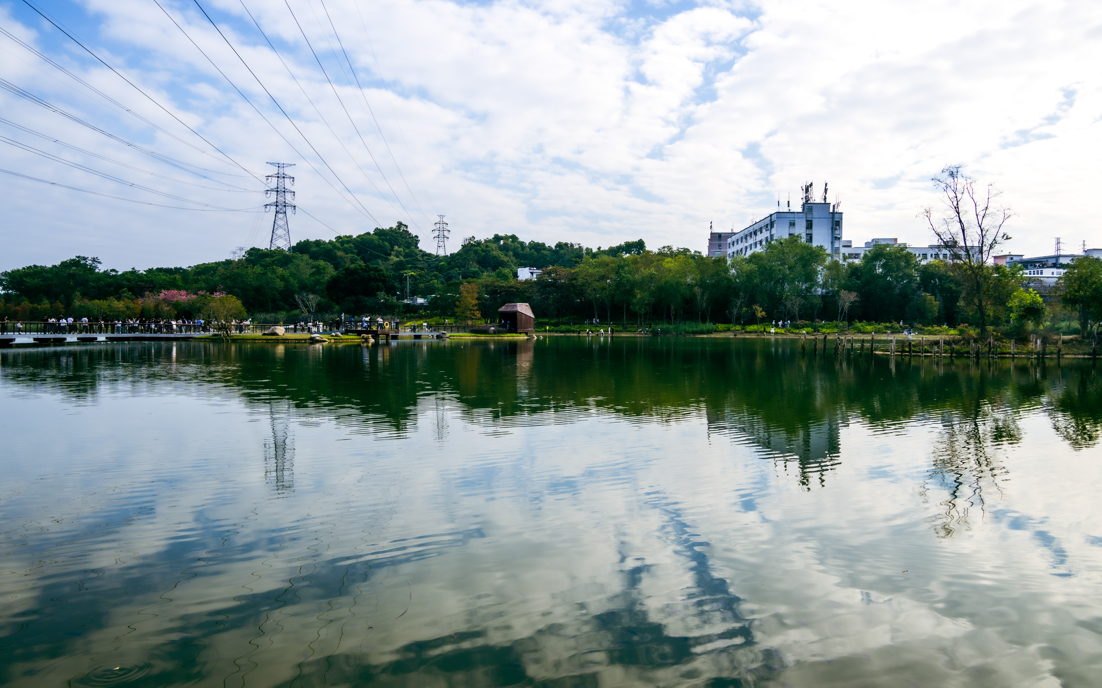 深圳市宝安区九围湿地公园-行万里路（20251207） -15