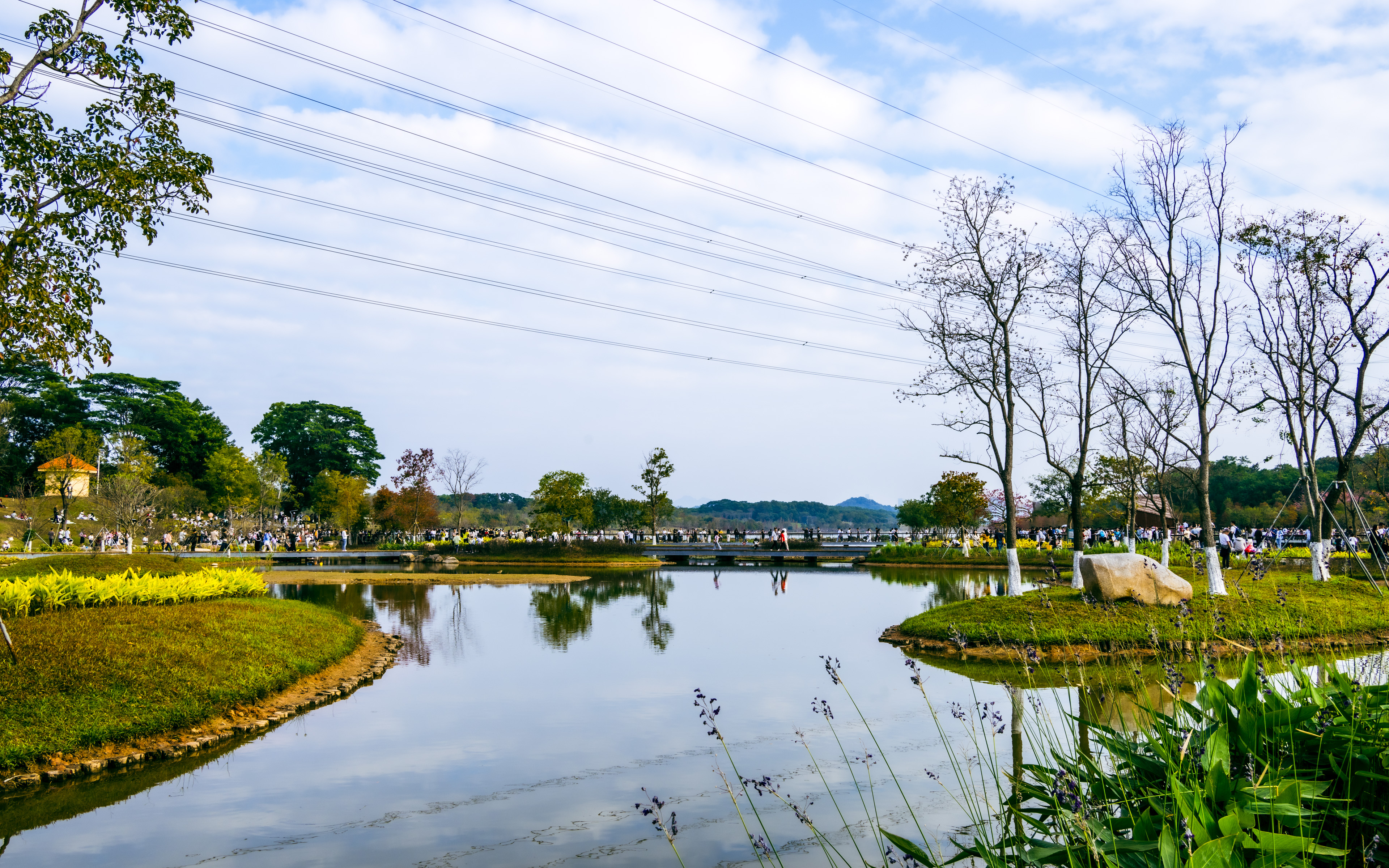 深圳市宝安区九围湿地公园-行万里路（20251207） -18