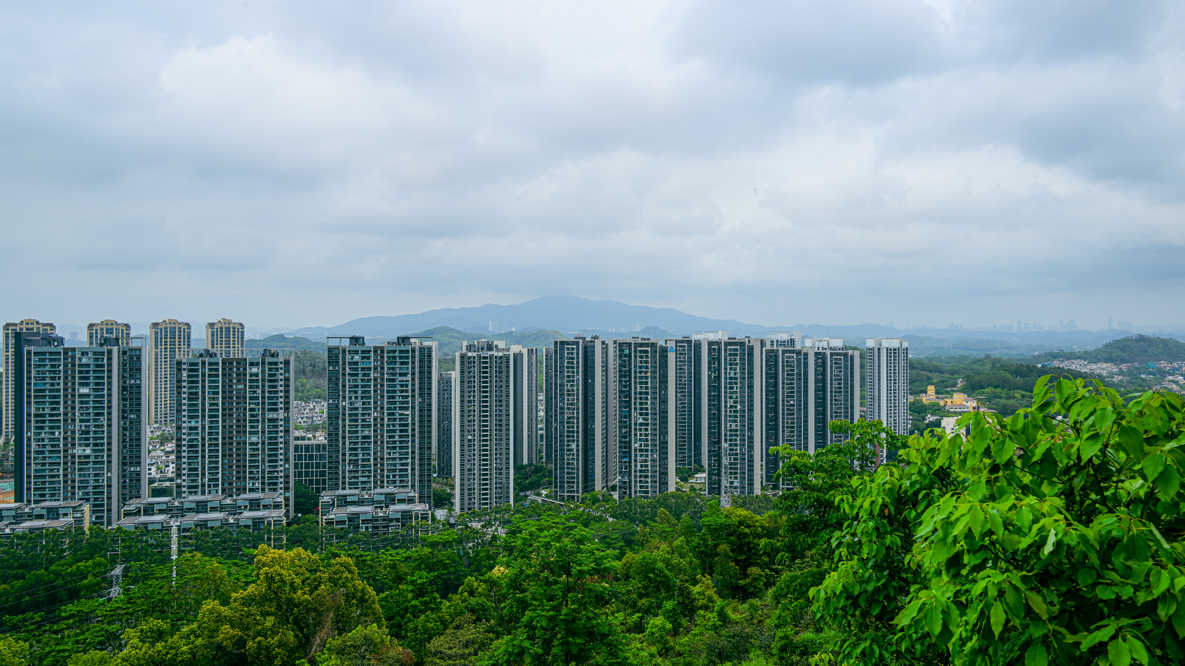 深圳宝安企龙山公园-行万里路（20260406）-5