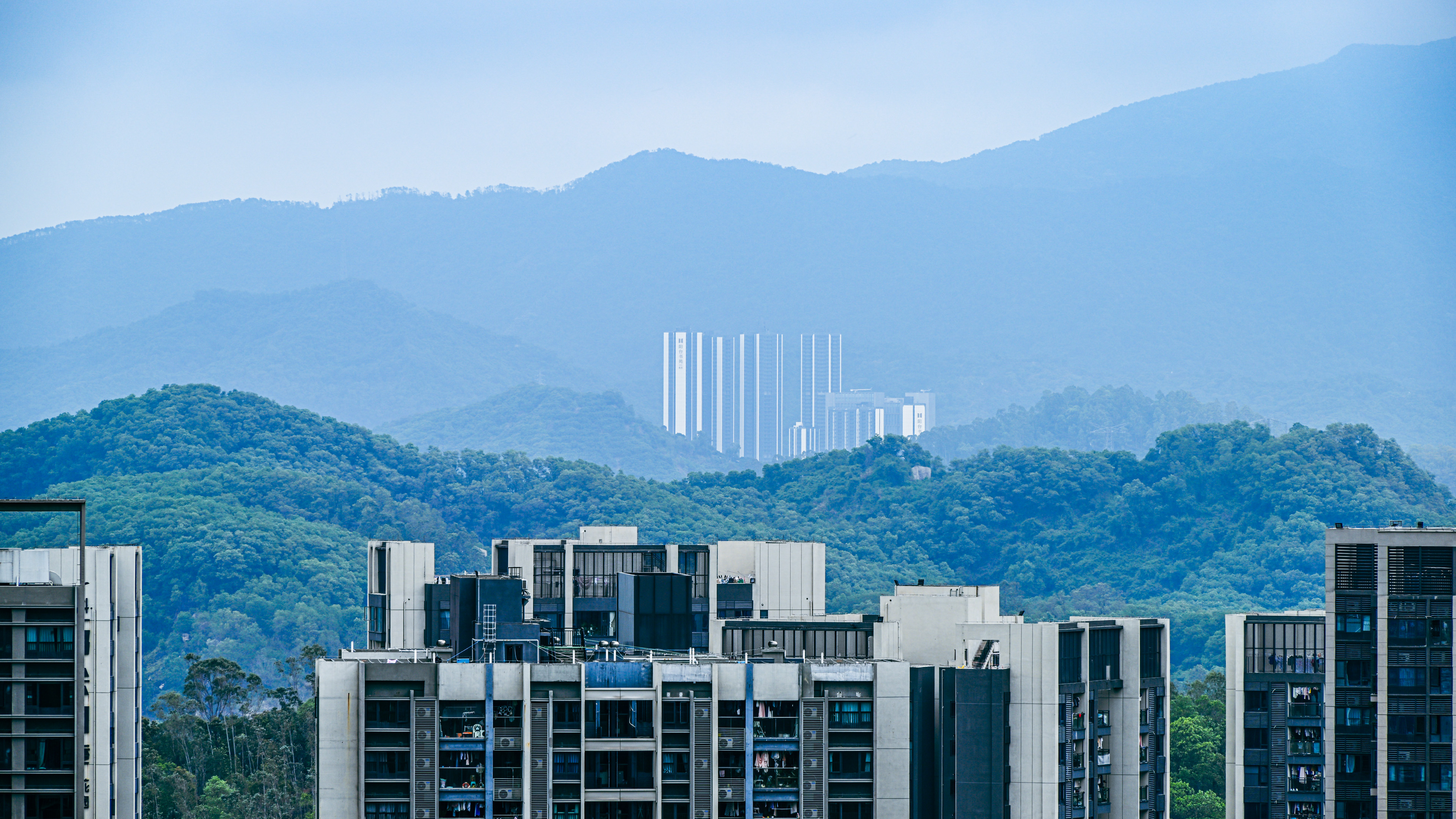 深圳宝安企龙山公园-行万里路（20260406）-7